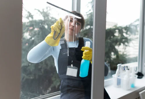 Nettoyage de vitres intérieures et extérieures à Saint-Benoît-la-Chipotte
